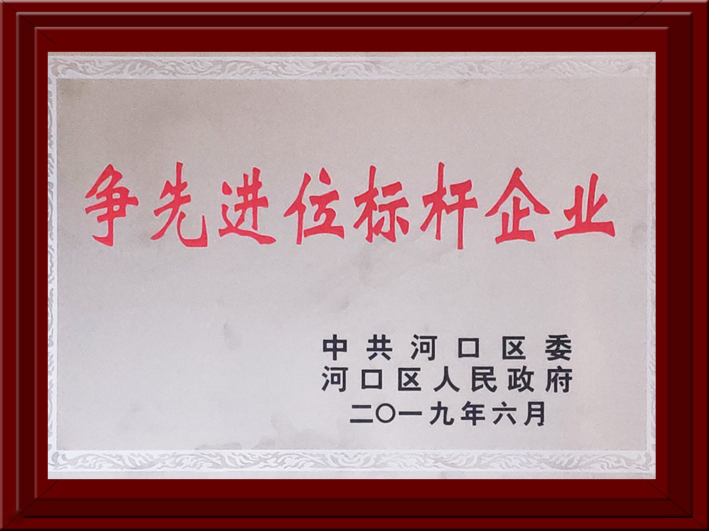 2019年河口區(qū)爭先進位標(biāo)桿企業(yè)獎