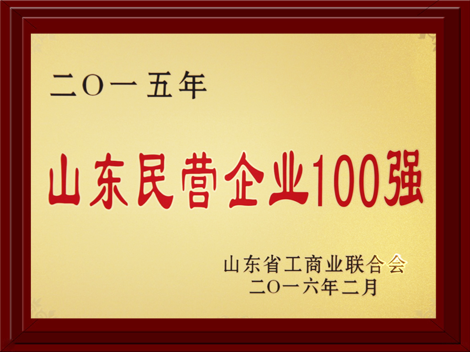 2015年度民營企業(yè)100強