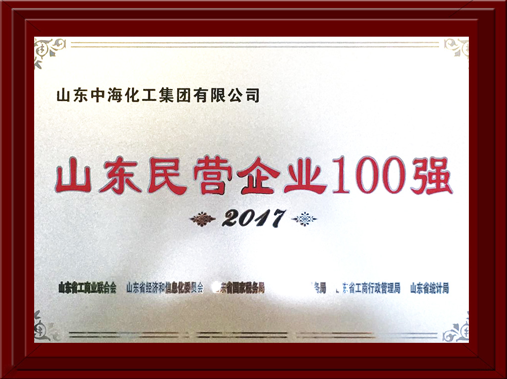 2017年民營企業(yè)100強